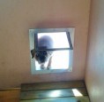 /album/galleri/a20160602-145049-jpg/
